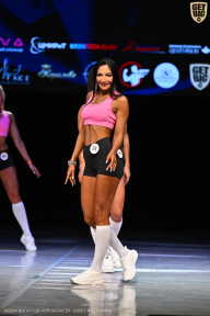 Кубок Вологодской области по бодибилдингу - 2026