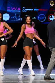 Кубок Вологодской области по бодибилдингу - 2026