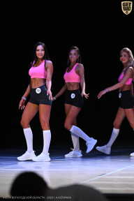 Кубок Вологодской области по бодибилдингу - 2026