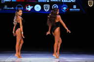 Кубок Вологодской области по бодибилдингу - 2026