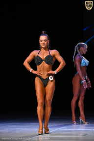 Кубок Вологодской области по бодибилдингу - 2026