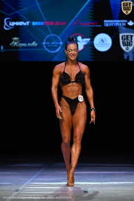 Кубок Вологодской области по бодибилдингу - 2026