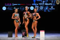 Кубок Вологодской области по бодибилдингу - 2026