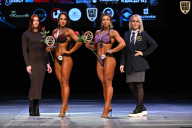 Кубок Вологодской области по бодибилдингу - 2026