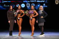 Кубок Вологодской области по бодибилдингу - 2026