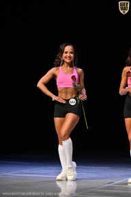 Кубок Вологодской области по бодибилдингу - 2026