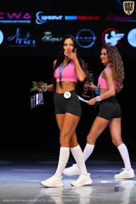 Кубок Вологодской области по бодибилдингу - 2026