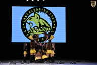 Кубок Вологодской области по бодибилдингу - 2026