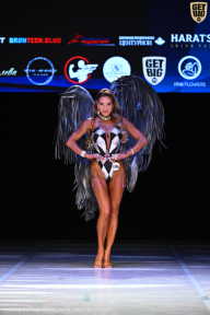 Кубок Вологодской области по бодибилдингу - 2026