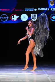 Кубок Вологодской области по бодибилдингу - 2026