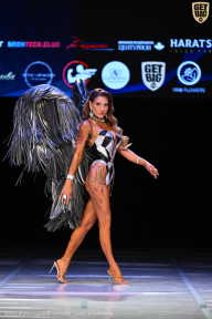 Кубок Вологодской области по бодибилдингу - 2026