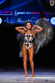 Кубок Вологодской области по бодибилдингу - 2026