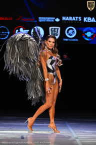 Кубок Вологодской области по бодибилдингу - 2026