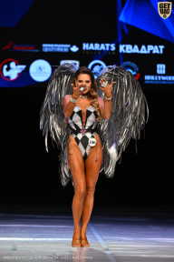 Кубок Вологодской области по бодибилдингу - 2026