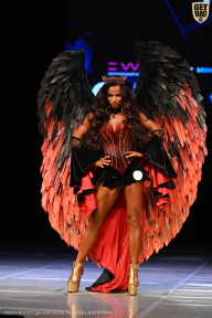 Кубок Вологодской области по бодибилдингу - 2026