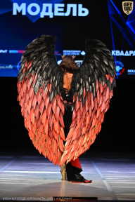 Кубок Вологодской области по бодибилдингу - 2026