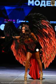 Кубок Вологодской области по бодибилдингу - 2026