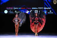 Кубок Вологодской области по бодибилдингу - 2026