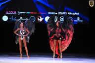 Кубок Вологодской области по бодибилдингу - 2026