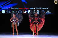 Кубок Вологодской области по бодибилдингу - 2026