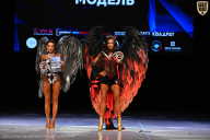 Кубок Вологодской области по бодибилдингу - 2026