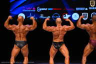 Кубок Вологодской области по бодибилдингу - 2026