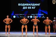 Кубок Вологодской области по бодибилдингу - 2026