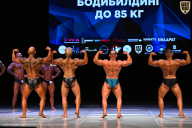 Кубок Вологодской области по бодибилдингу - 2026