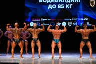 Кубок Вологодской области по бодибилдингу - 2026