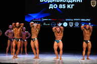 Кубок Вологодской области по бодибилдингу - 2026