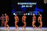 Кубок Вологодской области по бодибилдингу - 2026
