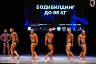 Кубок Вологодской области по бодибилдингу - 2026