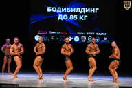 Кубок Вологодской области по бодибилдингу - 2026