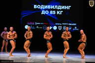 Кубок Вологодской области по бодибилдингу - 2026