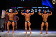 Кубок Вологодской области по бодибилдингу - 2026