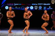 Кубок Вологодской области по бодибилдингу - 2026