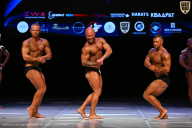 Кубок Вологодской области по бодибилдингу - 2026