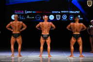 Кубок Вологодской области по бодибилдингу - 2026