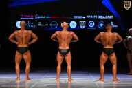 Кубок Вологодской области по бодибилдингу - 2026