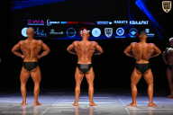 Кубок Вологодской области по бодибилдингу - 2026