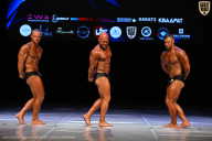 Кубок Вологодской области по бодибилдингу - 2026