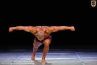 Кубок Вологодской области по бодибилдингу - 2026