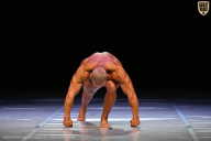 Кубок Вологодской области по бодибилдингу - 2026