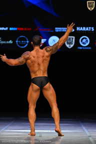 Кубок Вологодской области по бодибилдингу - 2026