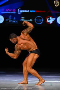 Кубок Вологодской области по бодибилдингу - 2026