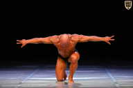 Кубок Вологодской области по бодибилдингу - 2026