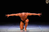 Кубок Вологодской области по бодибилдингу - 2026