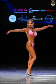 Кубок Вологодской области по бодибилдингу - 2026