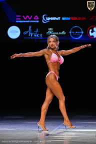 Кубок Вологодской области по бодибилдингу - 2026