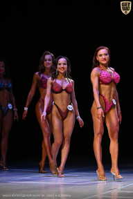 Кубок Вологодской области по бодибилдингу - 2026